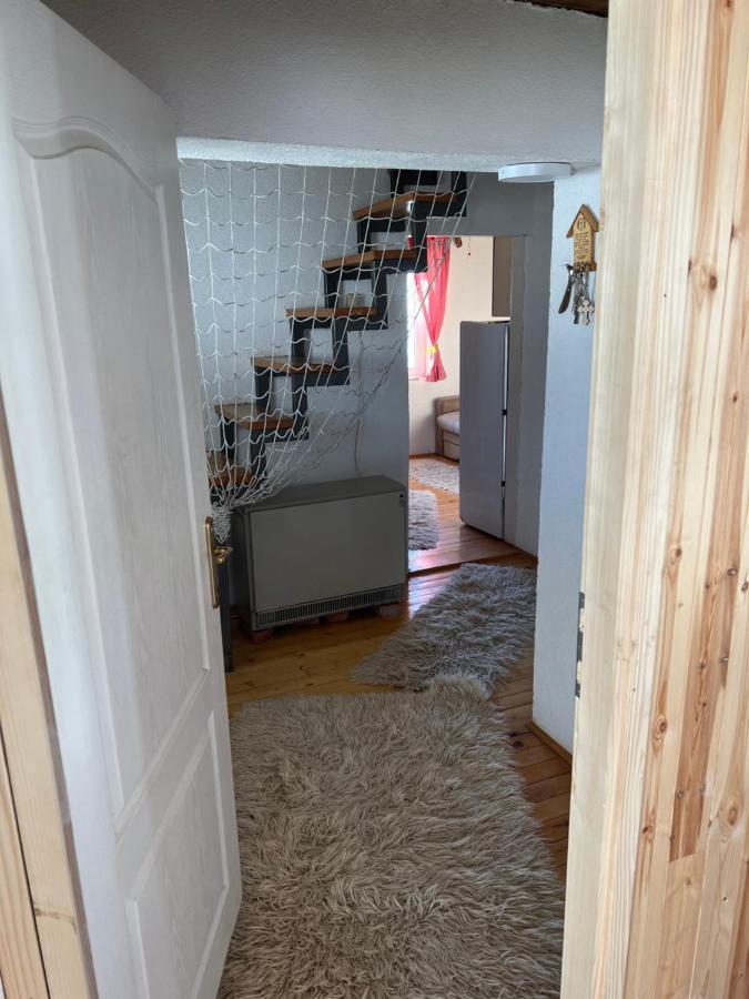 Kuca Miladinovic Villa Kopaonik Luaran gambar