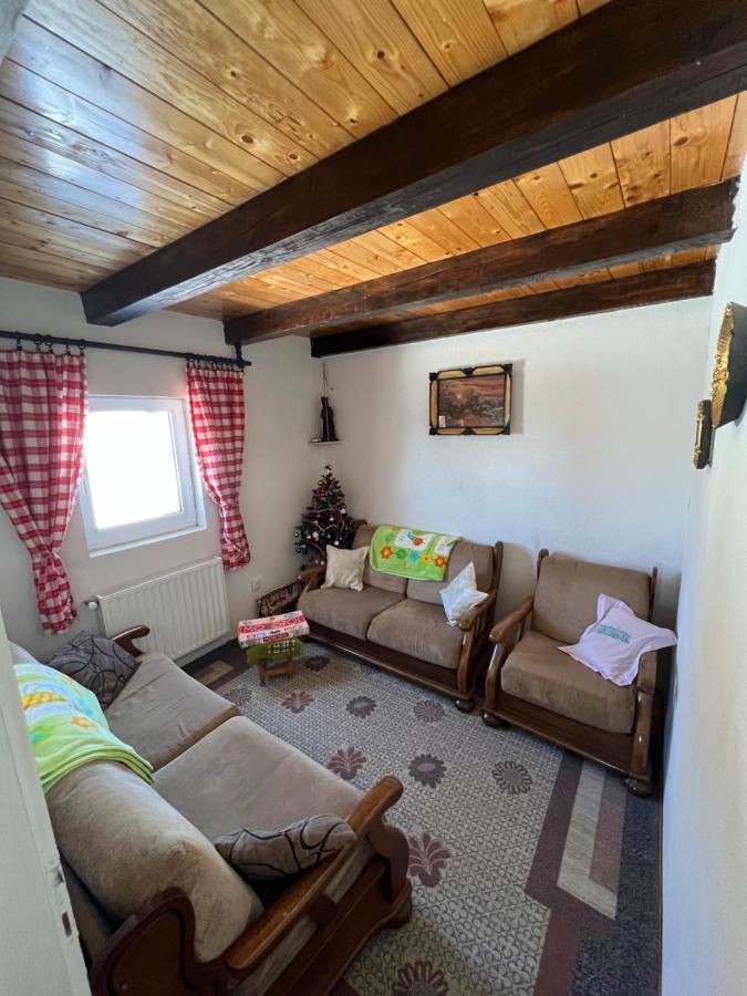 Kuca Miladinovic Villa Kopaonik Luaran gambar